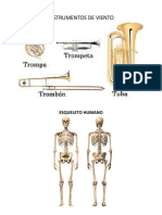 Instrumentos de Viento
