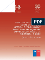 directrices-especificas-sistemas-silice-2013
