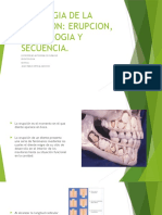 Fisiologia de La Erupcion