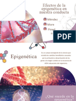 Efectos de La Epigenética en Nuestra Conducta (1)