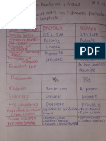 Procariotas Bacterias y Archaea