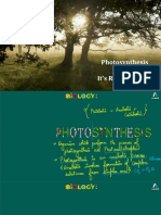 Photosynthesis and It's Requirements