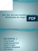 Kelompok 2