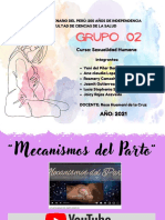 A.I.P. - Mecanismos Del Parto - Grupo 02 - Sem 08