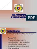 Risk Management and Internal Controls