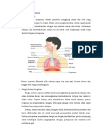 Anatomi Sistem Respirasi 