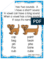 Long and Short Vowels Poster