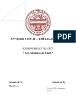 University Institute of Legal Studies: Jurisprudence Project