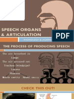 Organs of Speech 01 Expl