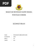 Contoh Folio Kerjaya