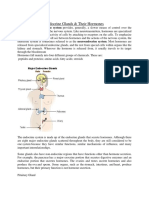 Psychology - Endocrine Glands (SEM - 2 - CC-6)