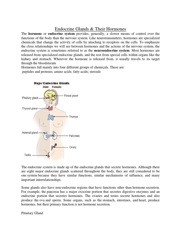 Psychology Endocrine Glands (SEM 2 CC6) PDF Adrenal Gland