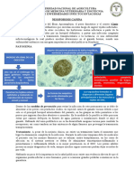 Tarea #5 de Patologías en Caninos