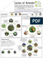 Life Cycles of Animals: Plant Life Cycle Bird Life Cycle