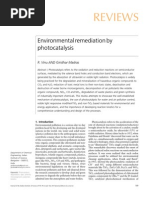 Download Enviromental Review by muaatheaziz9426 SN57509245 doc pdf