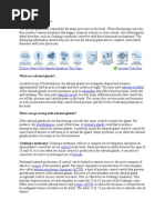 Download Adrenal Gland Disorders by rindesm SN57510243 doc pdf