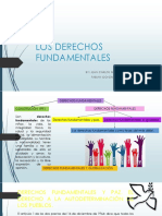 Los Derechos Fundamentales