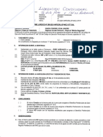 Liberacion Condicional - Informe Castro Castro PDF