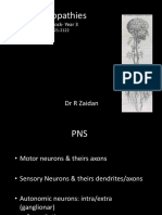 Neuropathies: DR R Zaidan