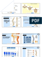 2. FRACTURA VERTEBRAL Y DE PELVIS