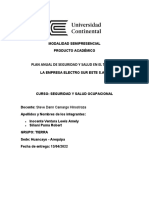 Plan Anual de Seguridad y Salud en El Trabajo Electro Sur Este S.A.A.