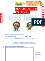 Cuidemos Del Sentido para Primer Grado de Primaria