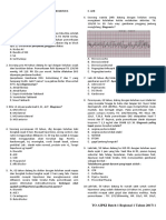 Contoh Soal Ukmppd PDF Free