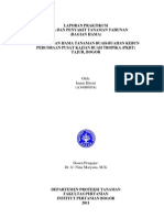 Download Laporan Praktikum Hpt Tahunan Pkbt by Imam Khoiri SN57516041 doc pdf