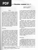 germinação sementes no fruto