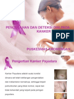 Pencegahan Dan Deteksi Dini Pada Kanker Payudara