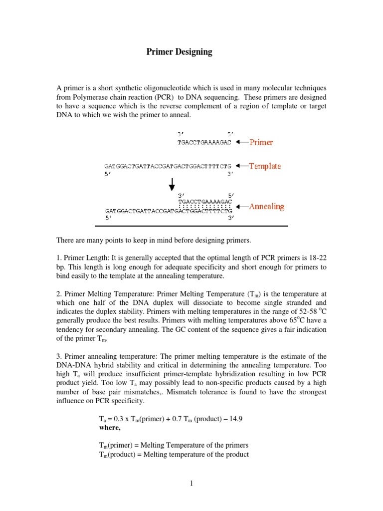 Primer Design Essentials for PCR | PDF | Primer (Molecular Biology ...