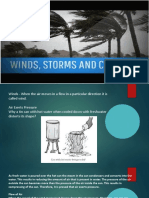 Wind Storms and Cyclones
