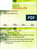 San La Gan Lon