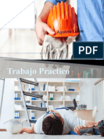 Trabajo Practico Seguridad e Higiene