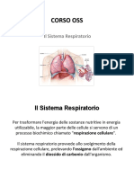 5 Il Sistema Respiratorio