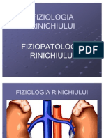 Fiziologia Rinichiului