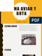 Edema Aviar y Gota