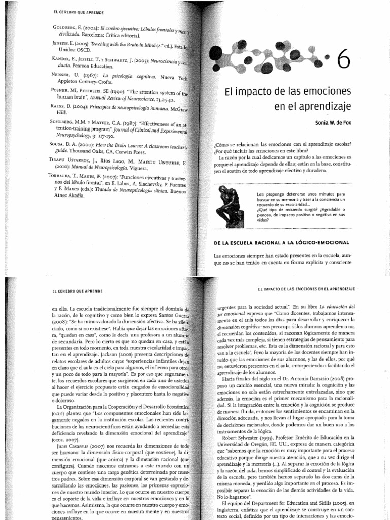 Capítulo 6 - El Impacto de Las Emociones en El Aprendizaje | PDF