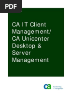 CA Unicenter Desktop Server Management Green Book 032708