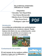 Principales Problemas Ambientales Identificados en Yucatán 2