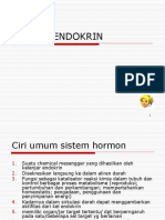 Sistem Endokrin