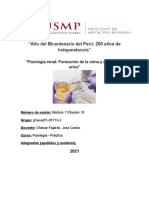 Fisiología Renal