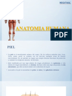 Anatomia Humana - PIEL Y SUS ANEXOS