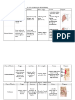 Assignment Anatomy 1 Lower Limb Folio