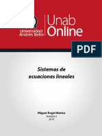 Sistemas de Ecuaciones Lineales: Miguel Ángel Muñoz