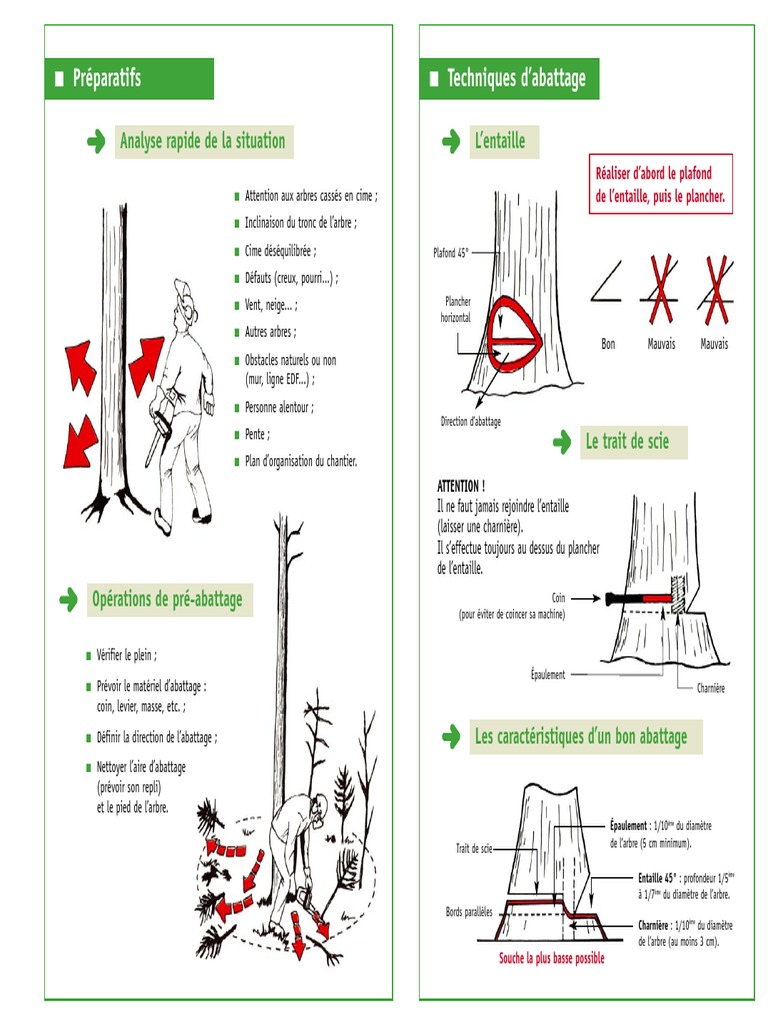 abattage-d-un-arbre-pdf-bois-arbres