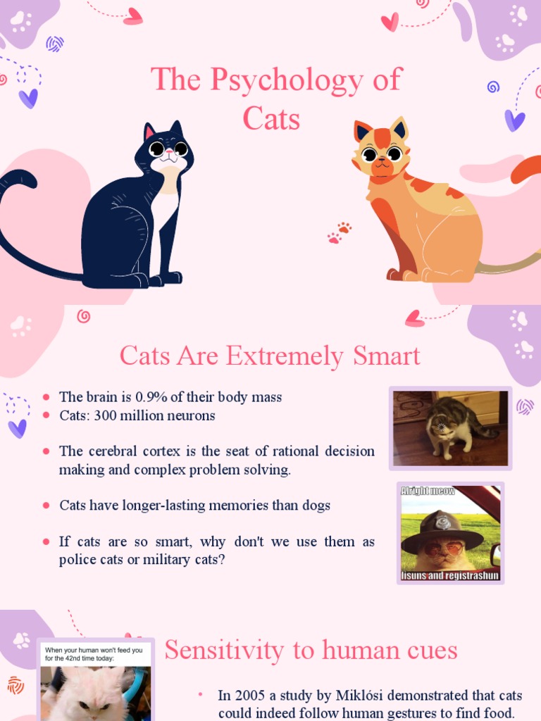 The Psychology of Cats PDF Cats Cognitive Science