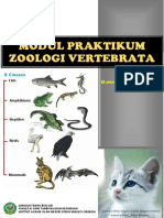 Modul Praktikum Zoologi Vertebrata