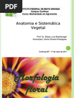 Estruturas e Morfologia da Flor | PDF | Fruta | Flores