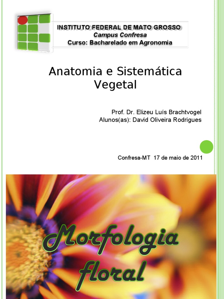 Morfologia Floral e Verticilos das Flores | PDF | Flores | Plantas
